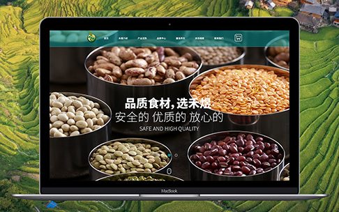 網(wǎng)站建設(shè)動(dòng)畫效果制作有哪些技巧？