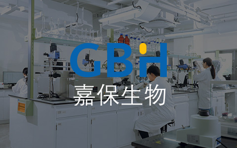 上海網站建設公司與安全防護措施的關系是什么？